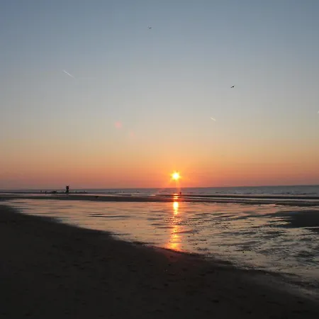 Pura Vida Waves - Ostend